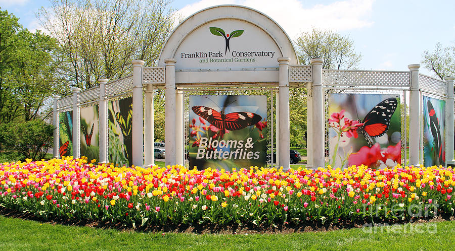 Franklin Park Conservatory And Botanical Gardens Activities
