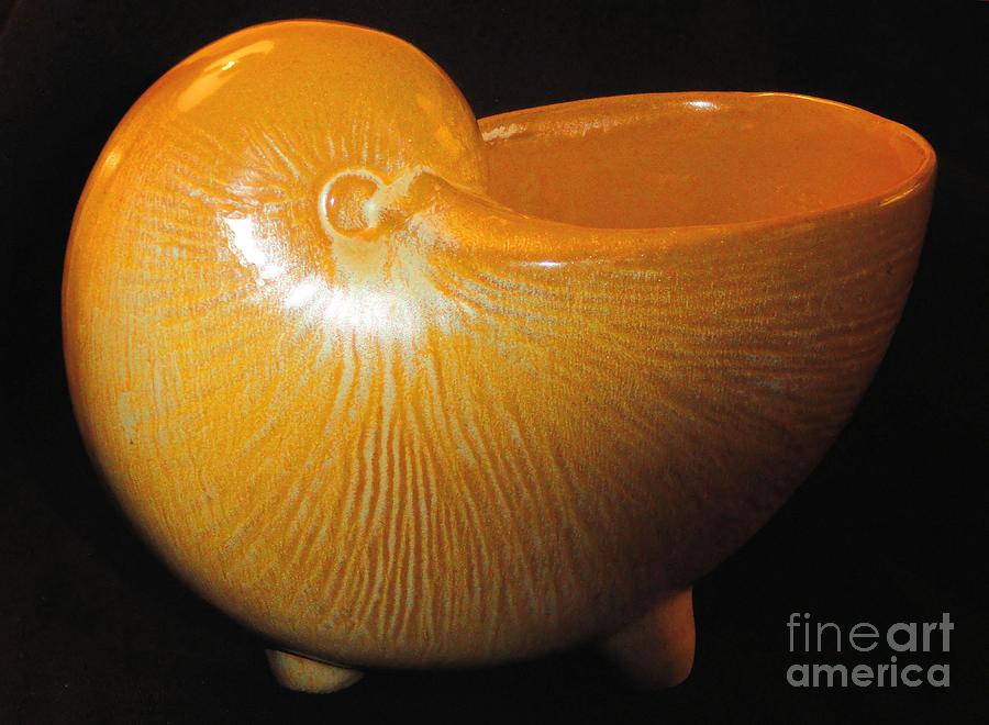 Vase Photograph - Frankoma Pottery Chambered Nautilus Vase  by Janette Boyd