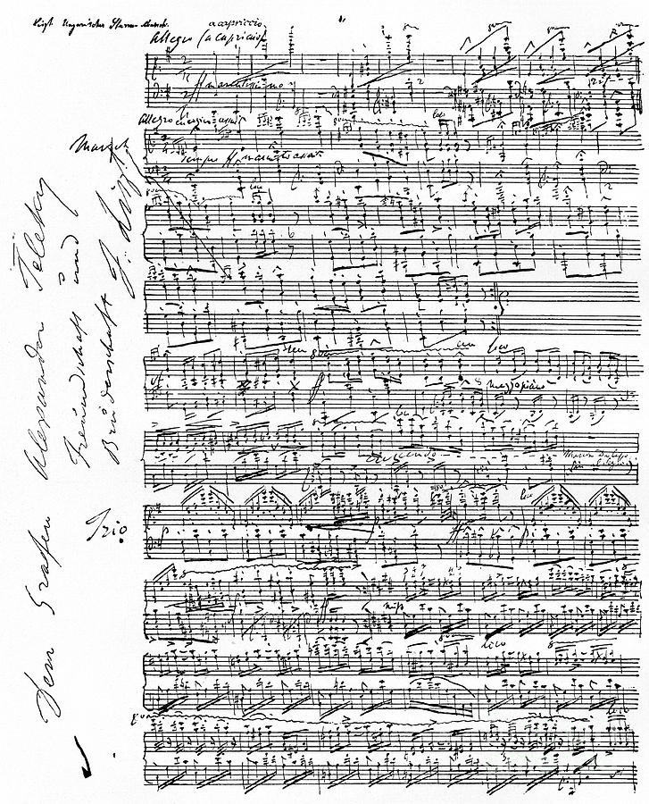 Реферат: Ode To Franz Liszt Essay Research Paper
