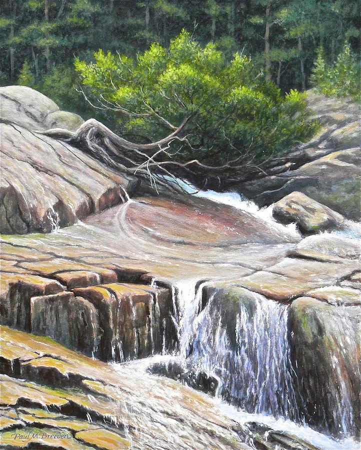 Frazer Falls Painting by Paul Breeden | Fine Art America