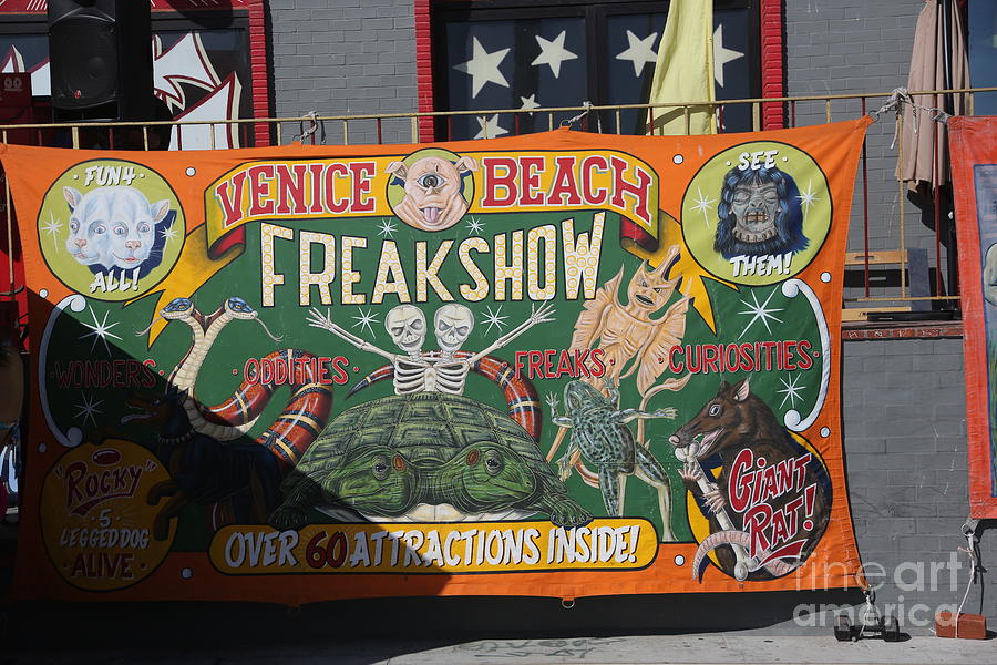 Freak Show  Photograph by Chuck Kuhn