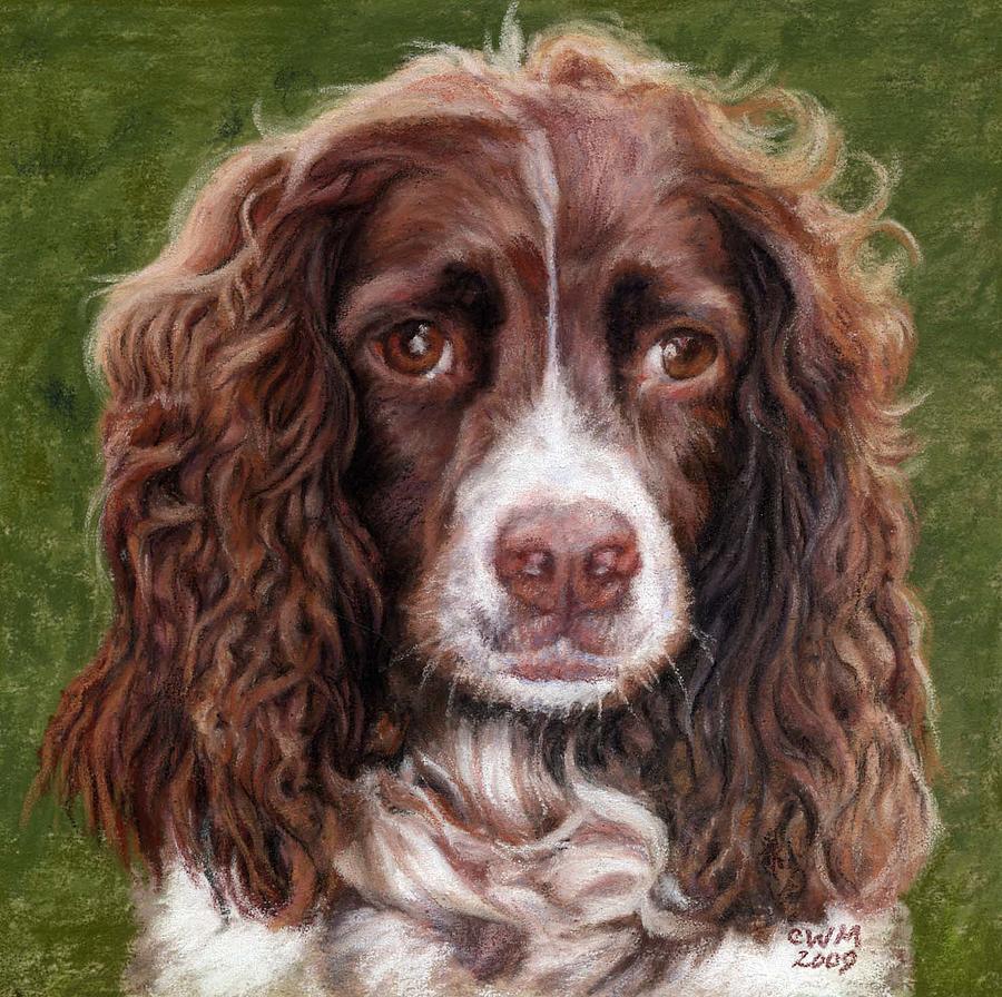 Springer Spaniel Pastel Pattern Freckles Pastel by Candy Maley | Fine Art America