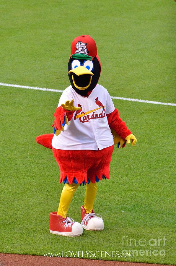 Fred Bird Photograph by Lovely Scenes Photography - Fine Art America