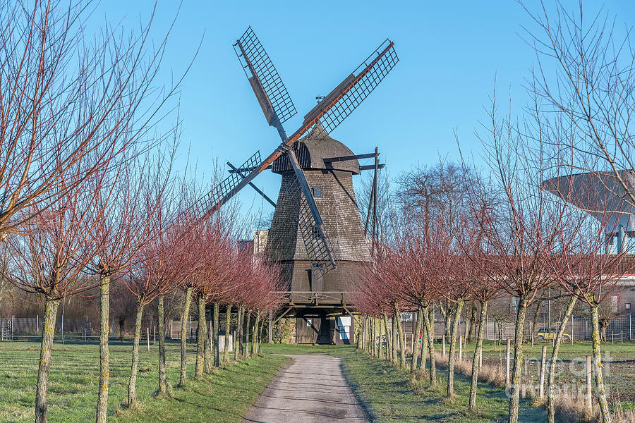Fredriksdal Museum Windmill Photograph by Antony McAulay