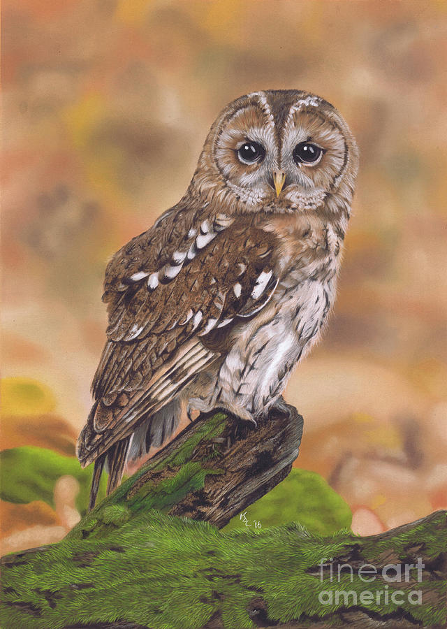 Free as a Bird by Karie-ann Cooper Free as a Bird by Karie-ann Cooper