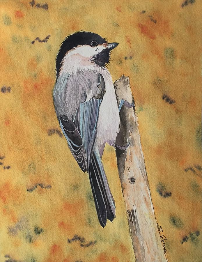 Free Bird Painting by Sonja Jones