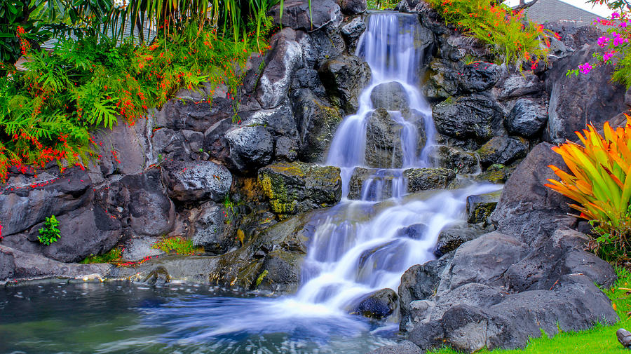 Free Fall Photograph by Trent Oshiro - Fine Art America