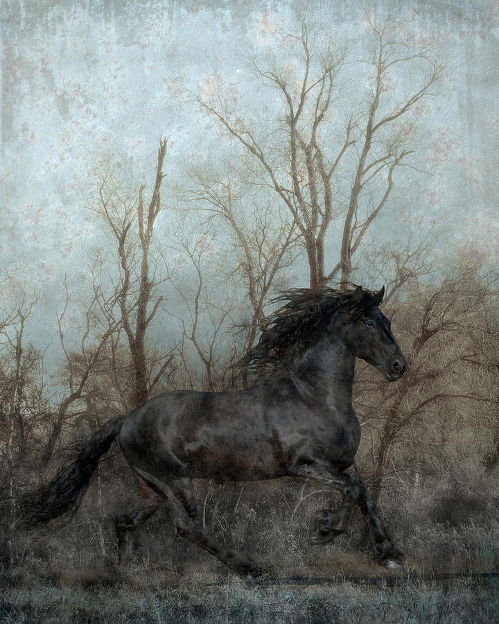 Horse Photograph - Free by Jean Hildebrant