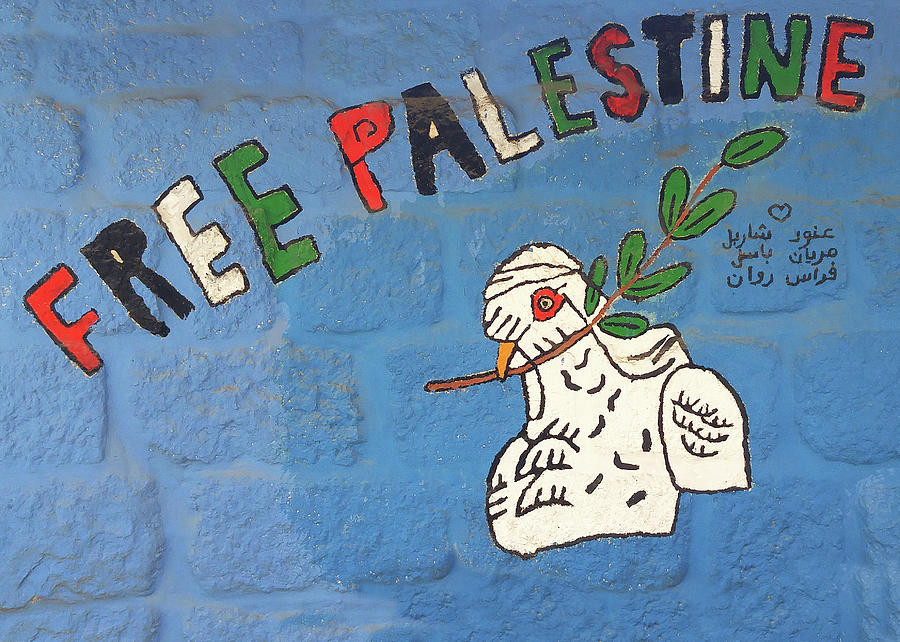 Free Palestine Peace Photograph by Munir Alawi