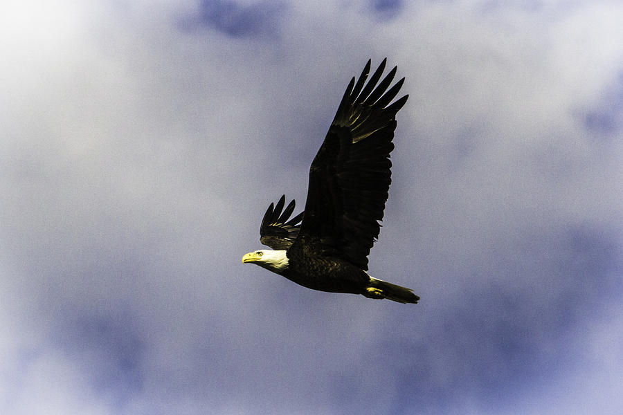 Sky Photograph - Free by Pete Federico Sky Photograph - Free by Pete Federico