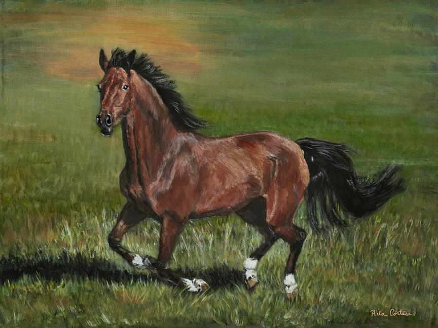 Wild Horse Painting - Free Spirit by Rita Cortesi