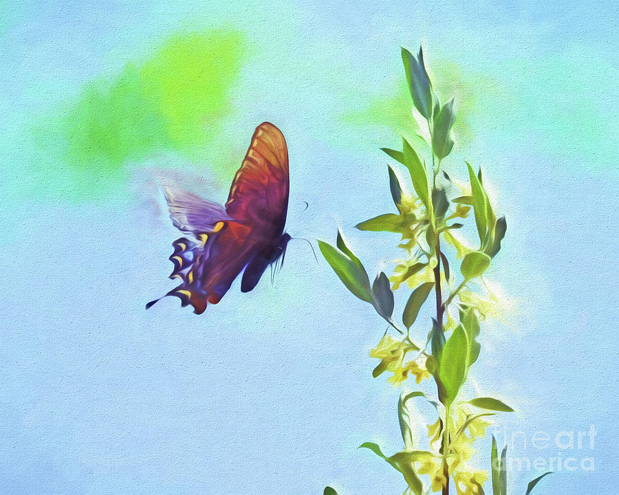 Free to Fly - Butterfly in Flight Photograph by Kerri Farley