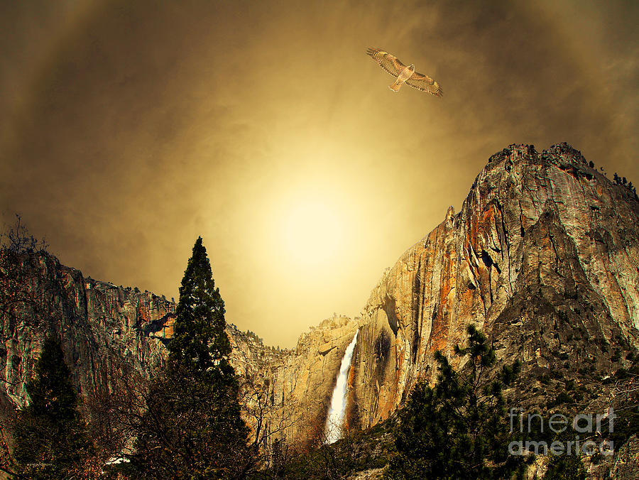 Yosemite National Park Photograph - Free To Soar The Boundless Sky by Wingsdomain Art and Photography