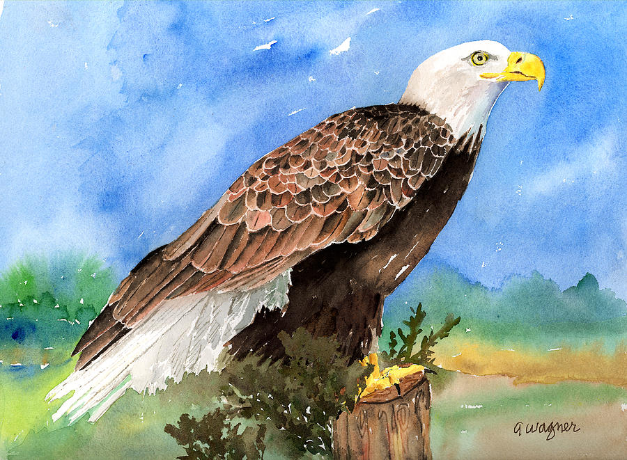 Eagle Painting - Freedom by Arline Wagner
