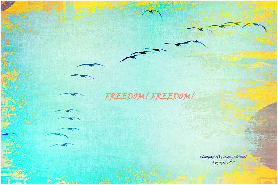 Freedom Photograph by Audrey Robillard