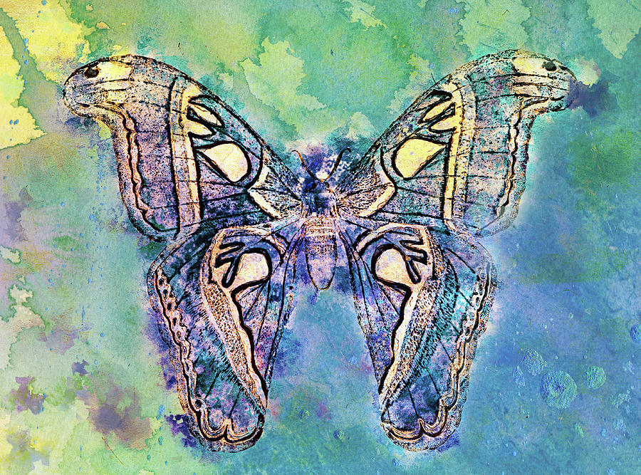Freedom Butterfly Wall Art Mixed Media by Georgiana Romanovna