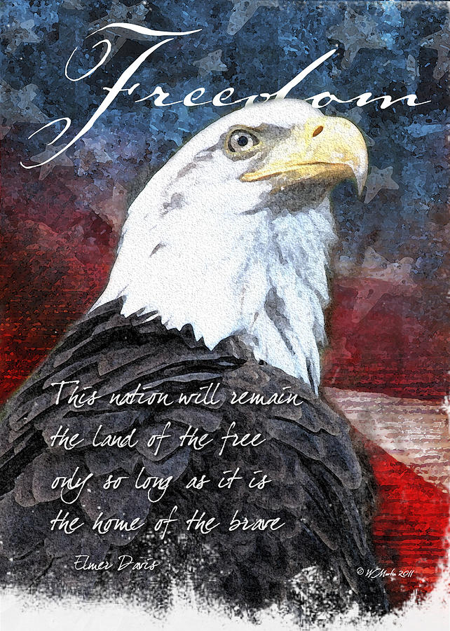 freedom eagle murica