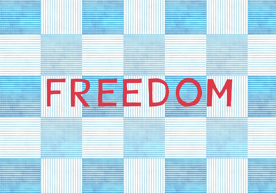 Independence Day Digital Art - Freedom Patchwork by Linda Woods