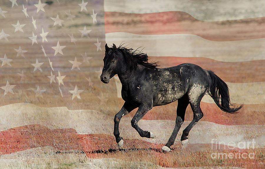 Freedom Photograph by Nicole Markmann Nelson - Fine Art America