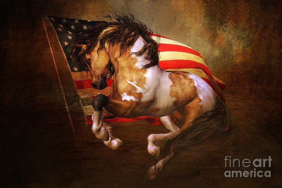 Horse Digital Art - Freedom Run by Shanina Conway