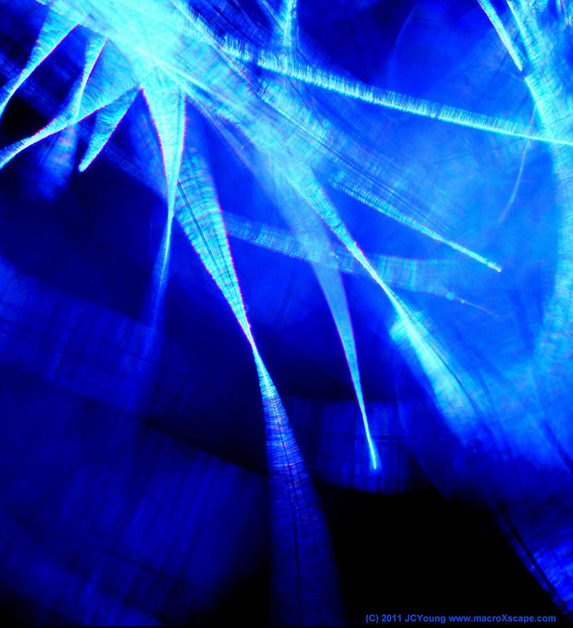 Expressionist Photograph - Freedom Spirit by JCYoung MacroXscape Expressionist Photograph - Freedom Spirit by JCYoung MacroXscape