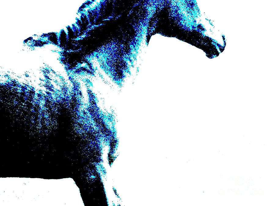 Horse Digital Art - Freedom Stars by Cynthia Riley