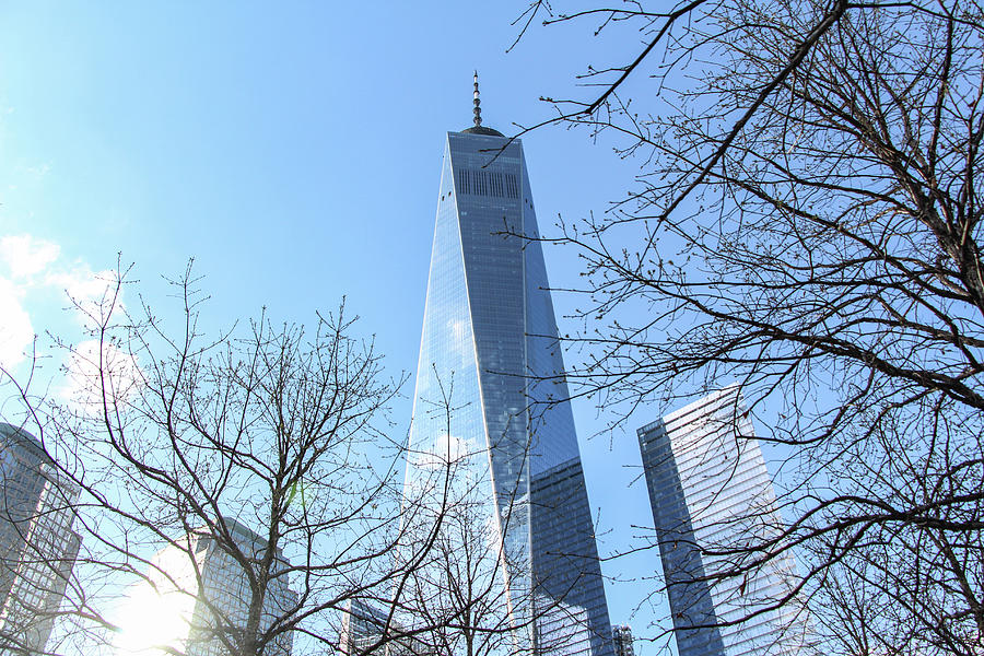Freedom Tower Photograph by Amanda Armstrong