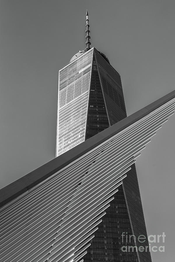Freedom Tower and Oculus II Photograph by Clarence Holmes