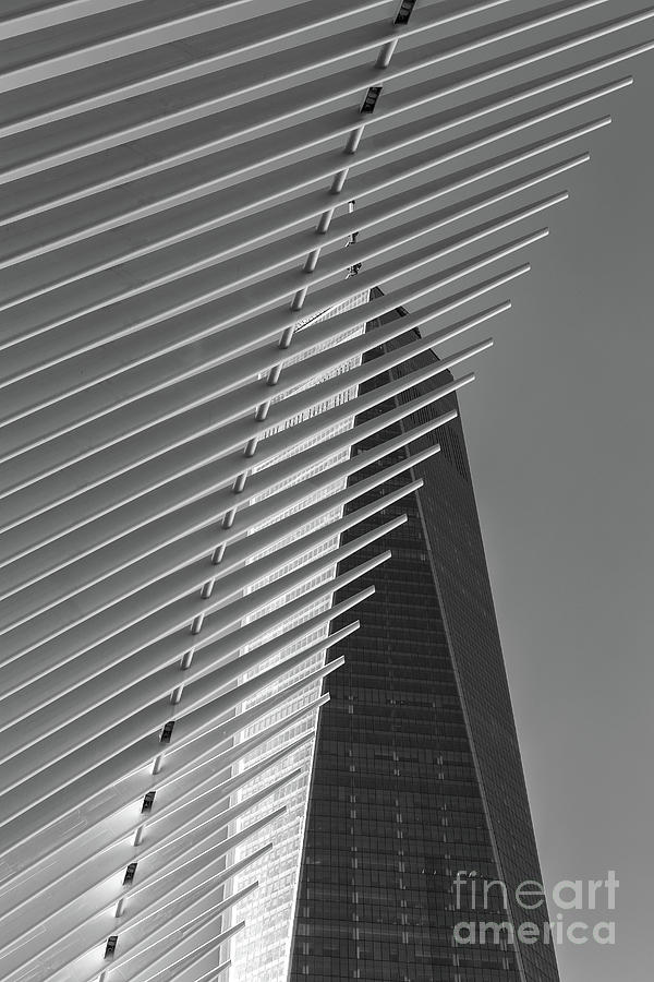 Freedom Tower and Oculus IV Photograph by Clarence Holmes