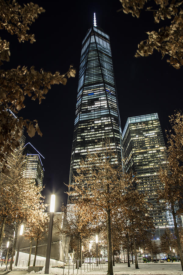 Freedom Tower New York  Photograph by John McGraw