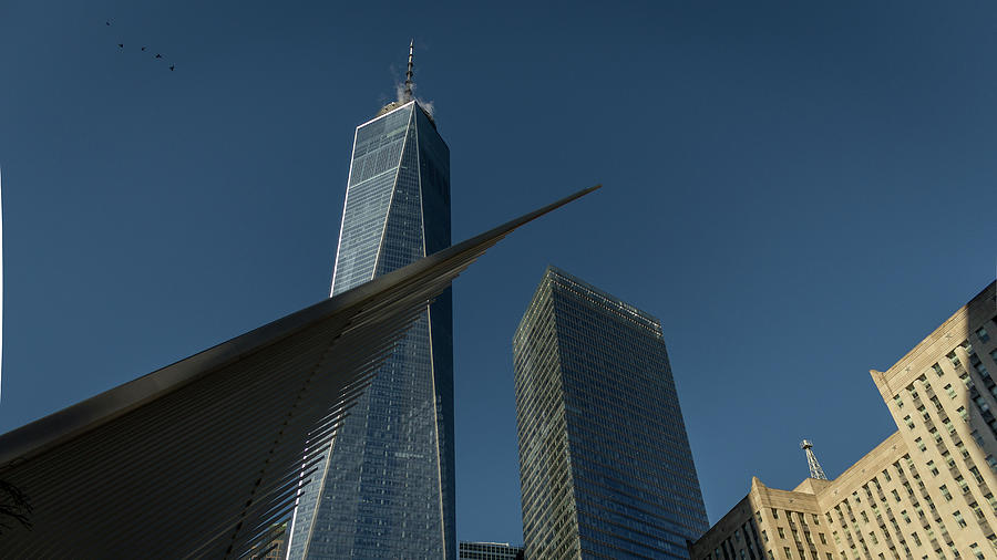 Freedom Tower Digital Art by Robert Zeigler