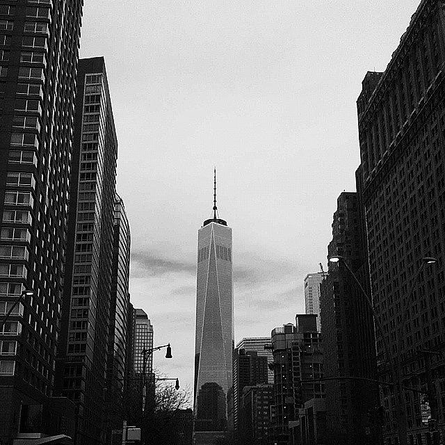 New York City Photograph - Freedom Tower Seen From Battery Park by Christopher M Moll
