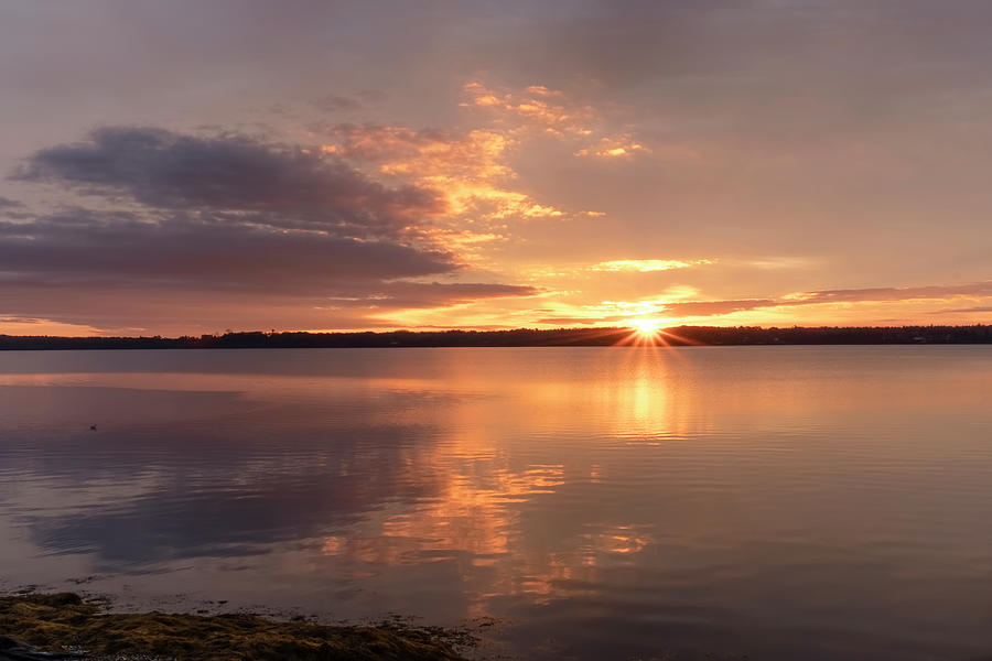 Freeport Sunrise Photograph by Tom Singleton