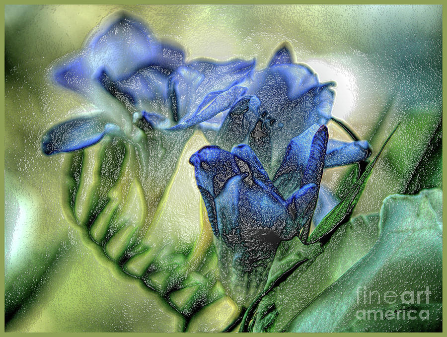Freesia Carved in Blue by Lance Sheridan-Peel Freesia Carved in Blue by Lance Sheridan-Peel