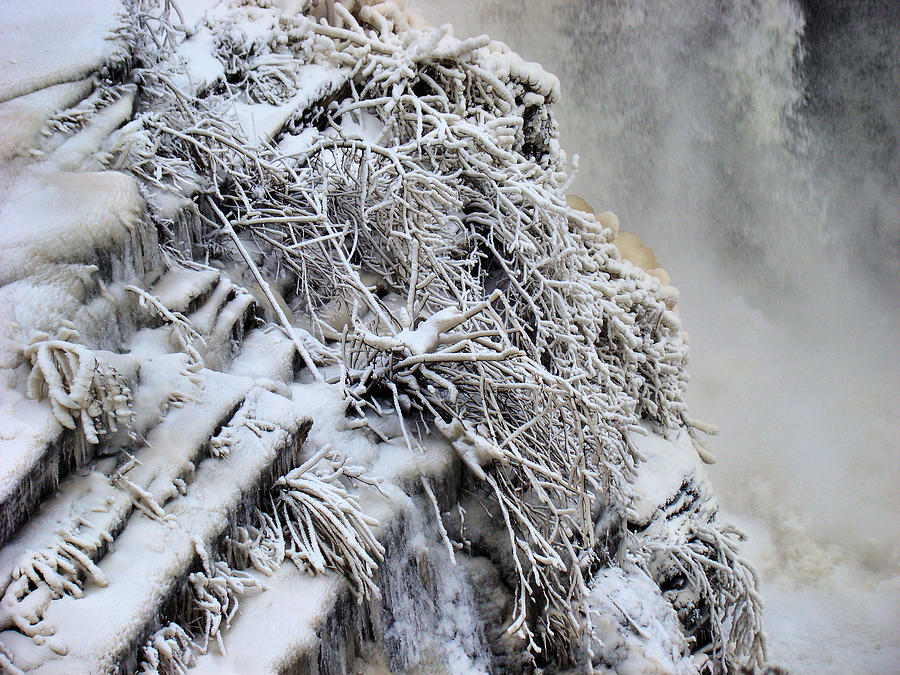 Freezing Falls Photograph by Tingy Wende