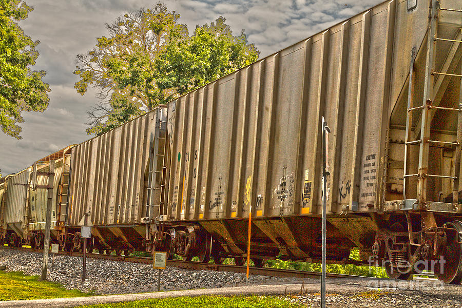 Tree Photograph - Freight Cars by William Norton