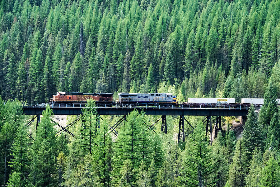 Freight Over A Trestle In Montana Photograph by Mick Anderson