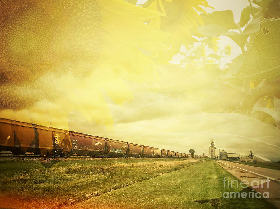 Nature Photograph - Freight train and Sunflowers Double Exposure by Iryna Liveoak