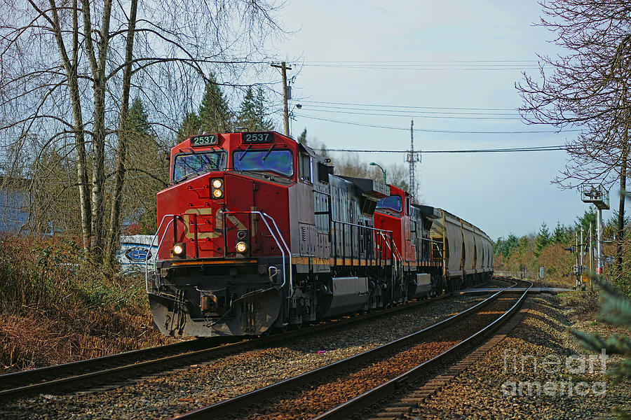 Train Photograph - Freight Train in Langley by Randy Harris