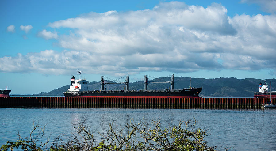 Freighter Parade and Sea Wall Photograph by Tom Cochran
