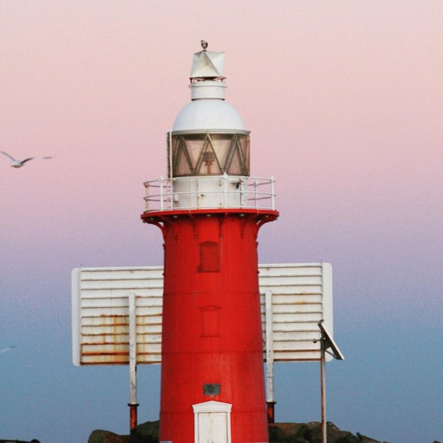 Lighthouse Photograph - Fremantle Is A Colourful Place by Cat Penaluna
