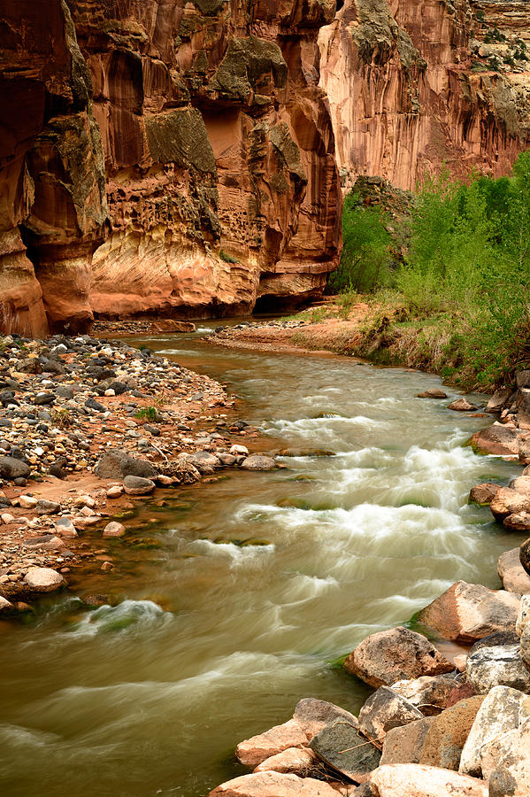 Fremont River Bend Photograph by Greg Fugate - Fine Art America