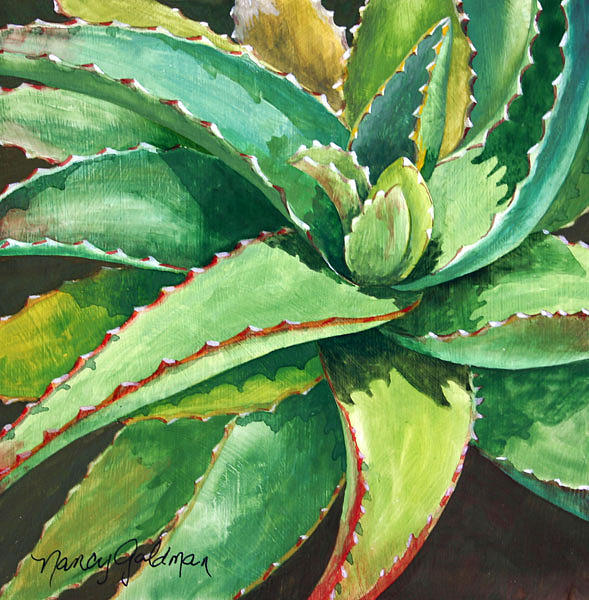 French Aloe Painting by Nancy Goldman