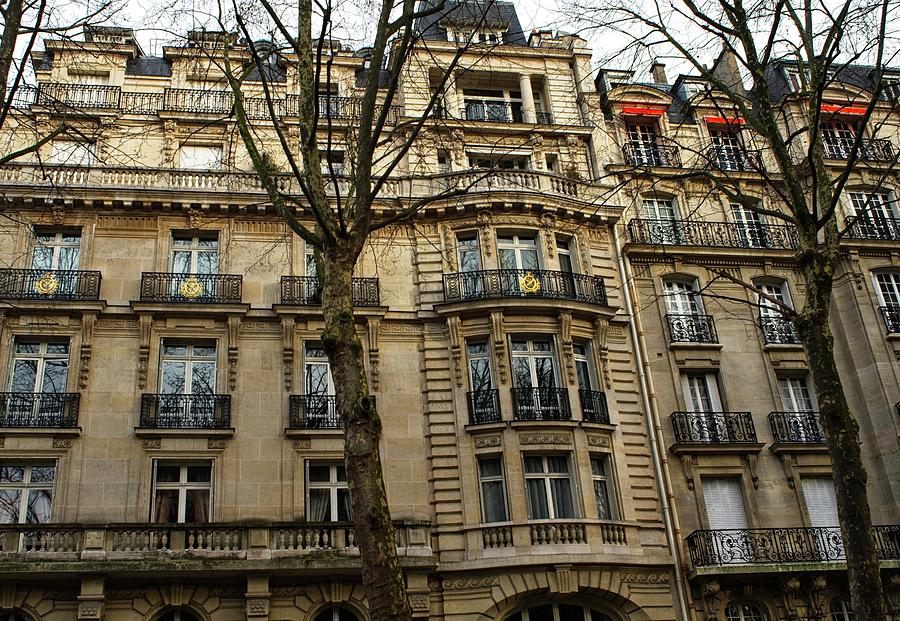 French Architecture in Paris Photograph by Miguel Winterpacht