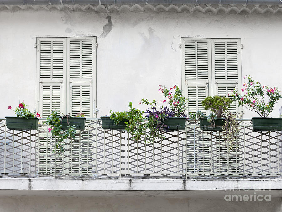 Flower Photograph - French balcony with shutters by Elena Elisseeva