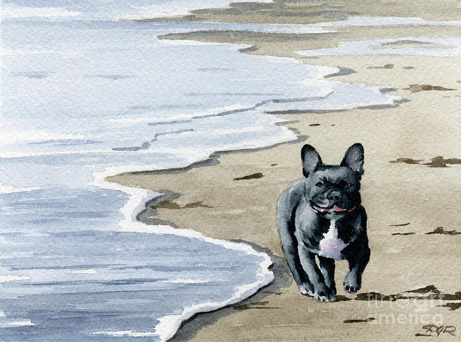 Beach Painting - French Bulldog at the Beach by David Rogers