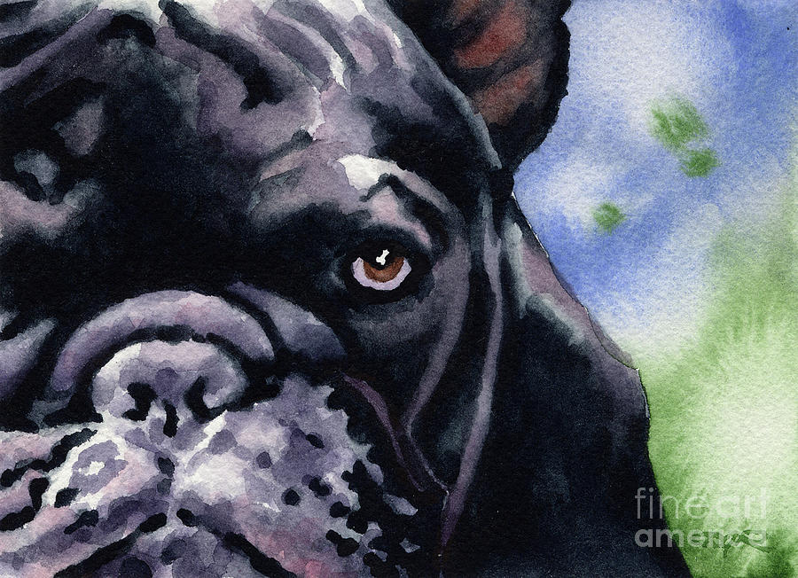 Dog Painting - French Bulldog by David Rogers