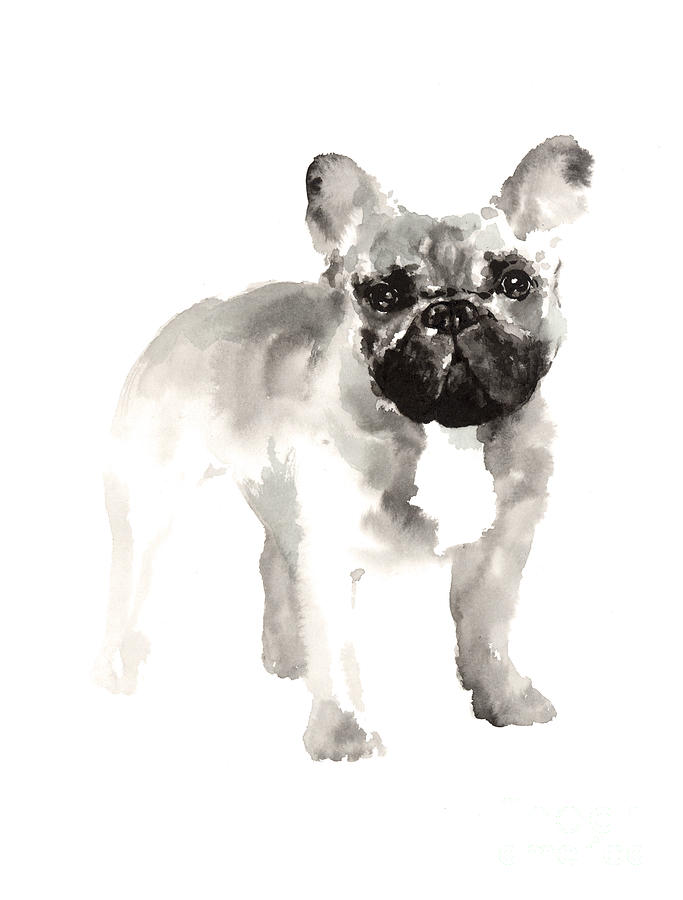 Abstract Painting - French bulldog drawing for nursery room by Joanna Szmerdt