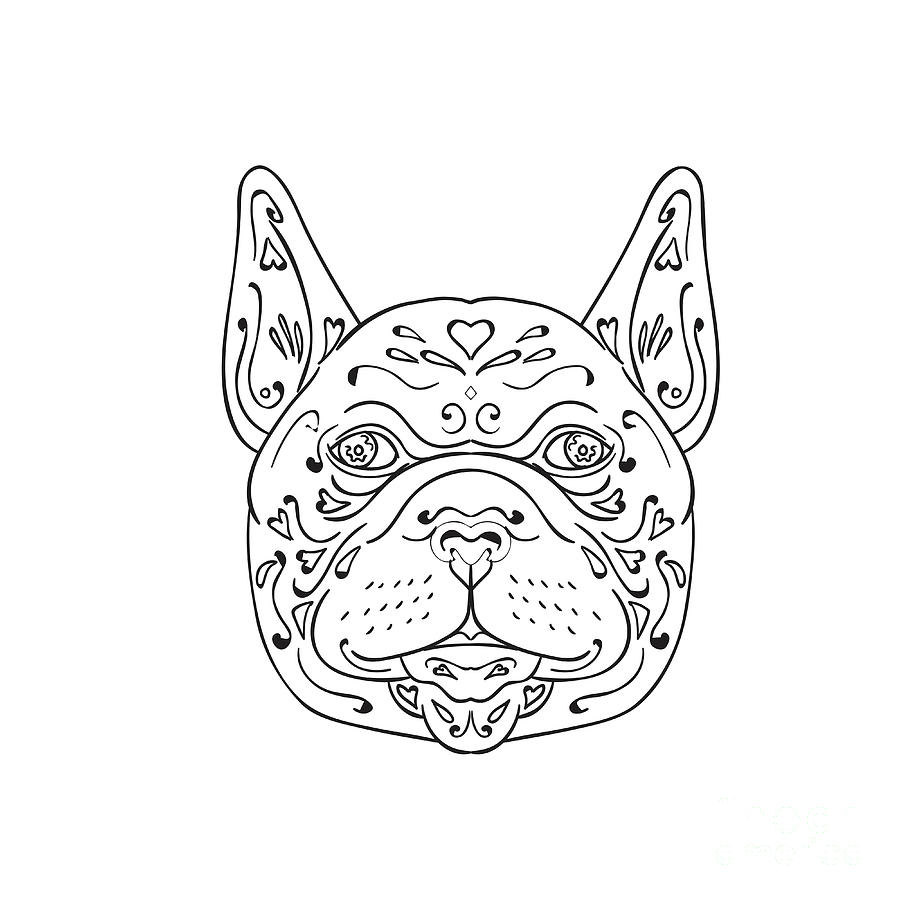 French Bulldog Head Mandala Digital Art by Aloysius Patrimonio - Fine ...
