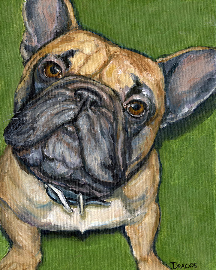 French Bulldog Looking Up On Green Painting by Dottie Dracos